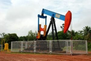 Indonesia’s Oil Comeback: Can RI’s Petroleum Products Rise Again?