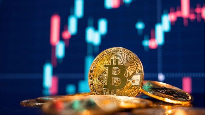 Crypto on the Rise: Investor Interest Grows Amid Trump Turmoil