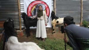 Livestream to Livestock: How Qurban Goat Sellers Are Winning Buyers Online