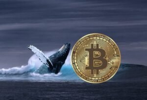 Bitcoin Whales in Action: What Are the Giants Doing Right Now?