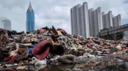 Kebijakan Hijau: Langkah Pemerintah Daerah Mengurangi Timbunan Sampah Perkotaan